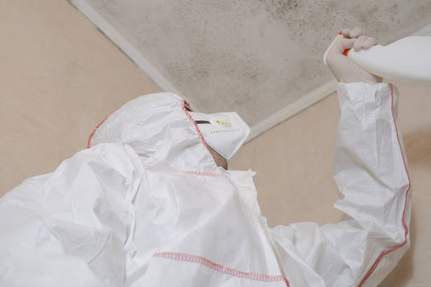 Best Commercial Mold Remediation in Deer Park, WA